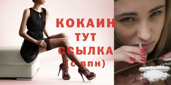 дживик Баксан