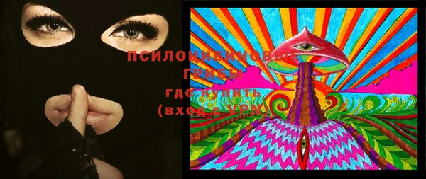 дживик Баксан