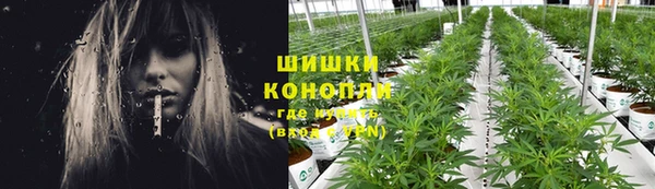 дживик Баксан
