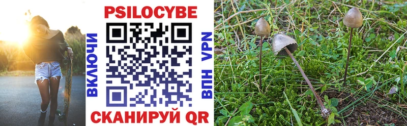 Псилоцибиновые грибы Psilocybine cubensis  Сегежа 