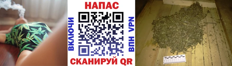 где найти наркотики  Сегежа  Бошки Шишки THC 21% 